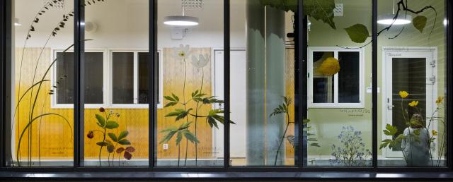 Koulun lasikäytävän ikkunoihin on painettu kasvien kuvia, taustalla näkyy koulun sisätiloja.